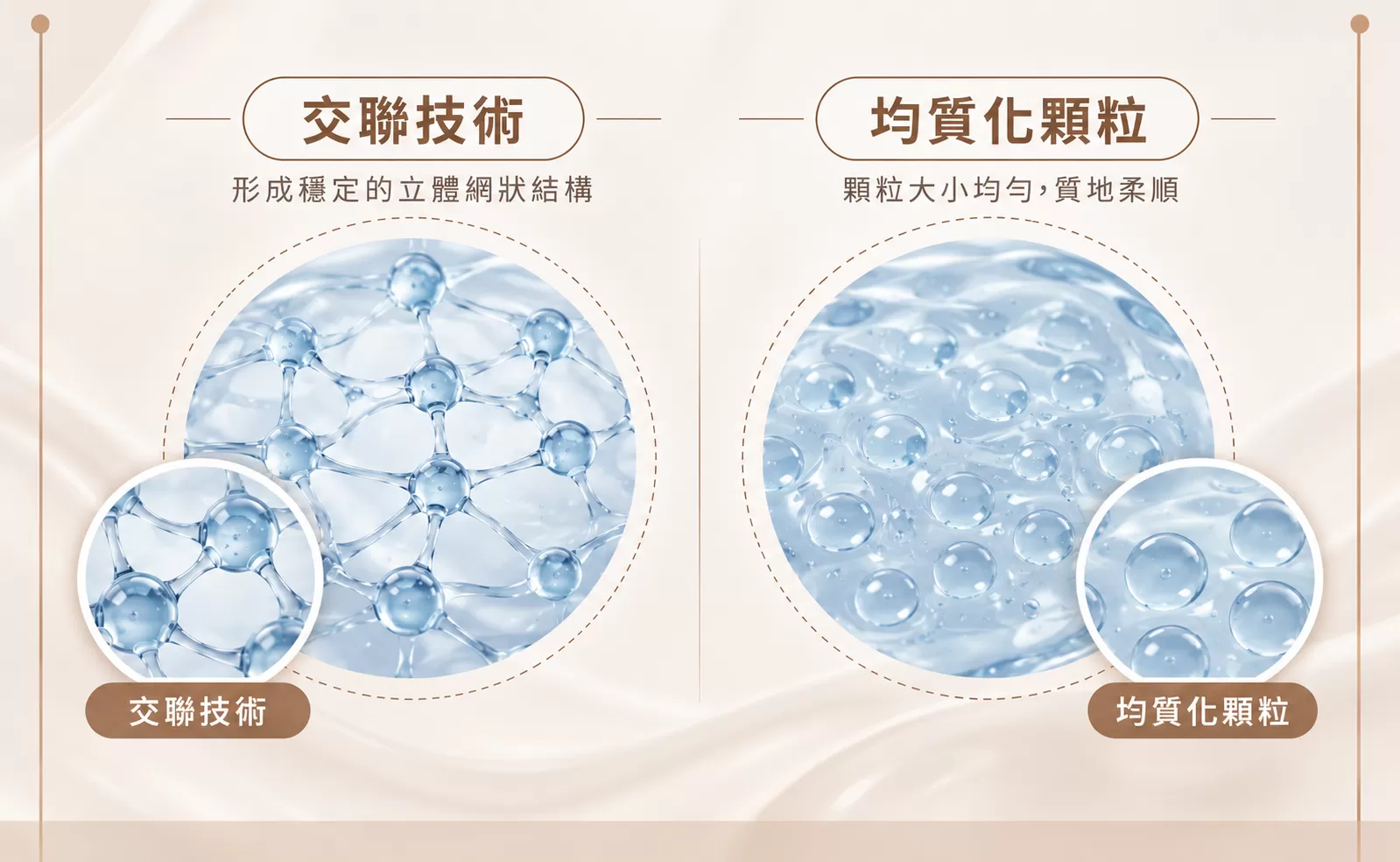 玻尿酸交聯與斷鏈技術說明