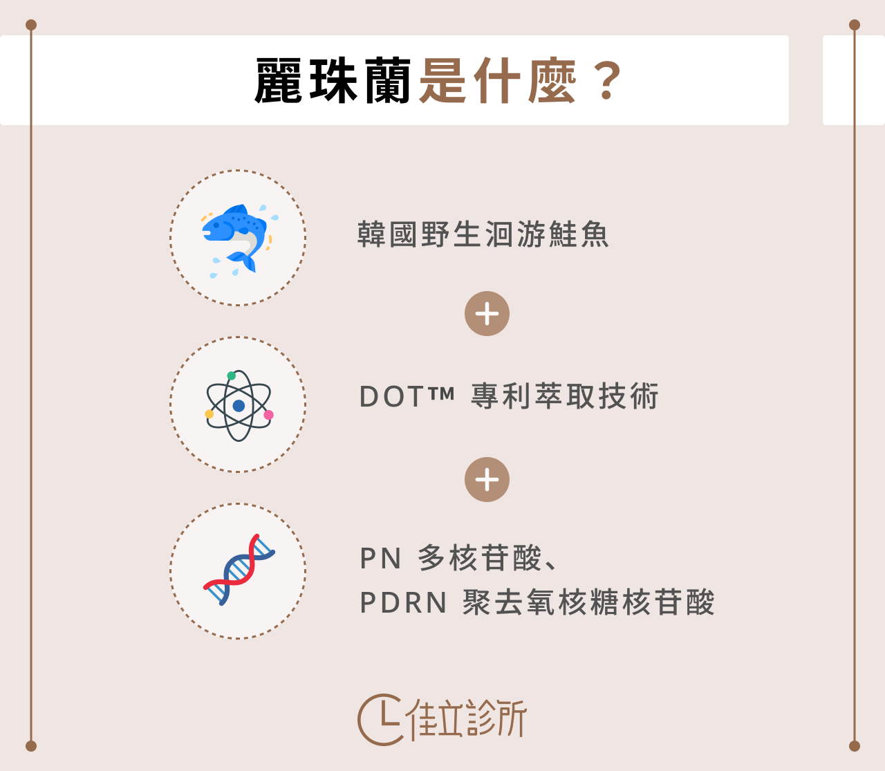 麗珠蘭是什麼？